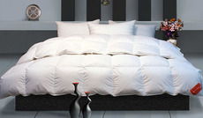 最新 富麗真金家紡產品怎么樣 參數(shù) 圖片大全 美樂樂家居網(wǎng)